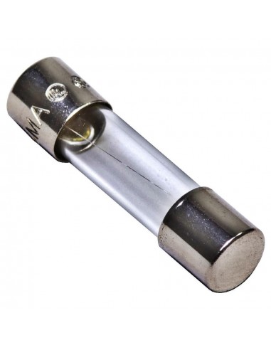 Mgl B170 Fusible De Vidrio 21mm 10.0 A